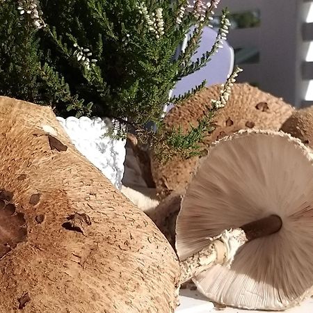 Przystan Na Zagorzu - Apartamenty Nad Jeziorem Drezdenko Extérieur photo